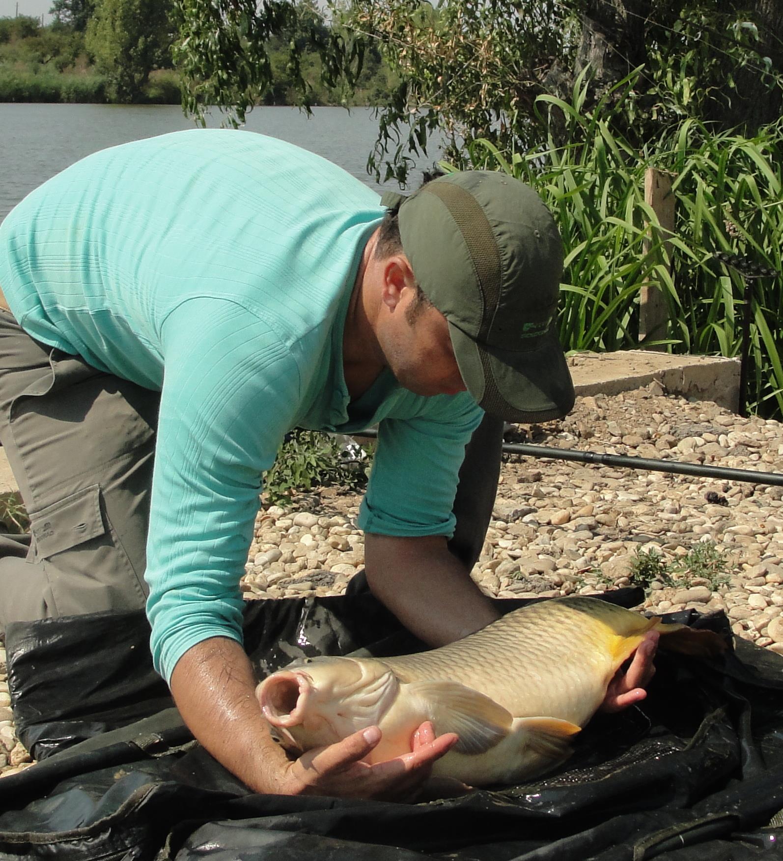 Hermes Peris 9 - 10 aug. - 3.JPG